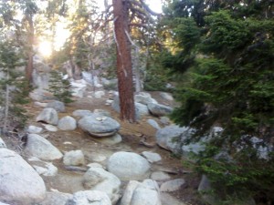 sanjacintorockswebsmile