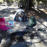 Taken while camping at Fern Basin, Idyllwild http://www.johnpedroza.com/blog/fern-basin-idyllwild-california/