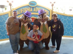 dcachipfamily