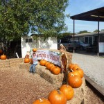 AJ showing off his pumpkin.