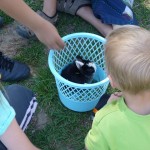 The kids found a bunny by the tank.