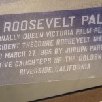 The Roosevelt Palm Plaque when it was first set up on 1965. (Note: The 5/8/03 date on the plaque is wrong)