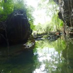 The water at the creek was so clear you could easily see fishes swimming.