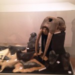 A walrus head and artifacts from one of John Muir's Alaskan trips.