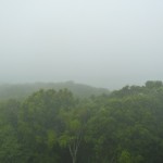 A view to Guatemala from El Castillo.