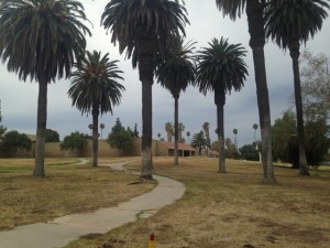 Palm trees still dot the landscape of the school.