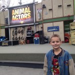 AJ enjoyed seeing all the animals.