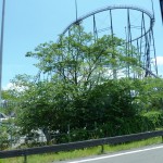 At the third station there was an amusement park called Fuji-Q.