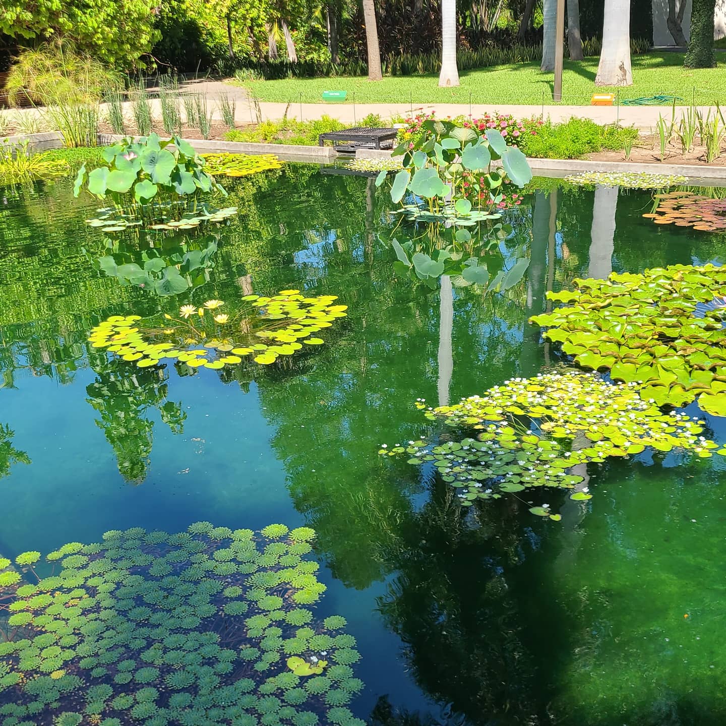 Culiacan Botanical Gardens