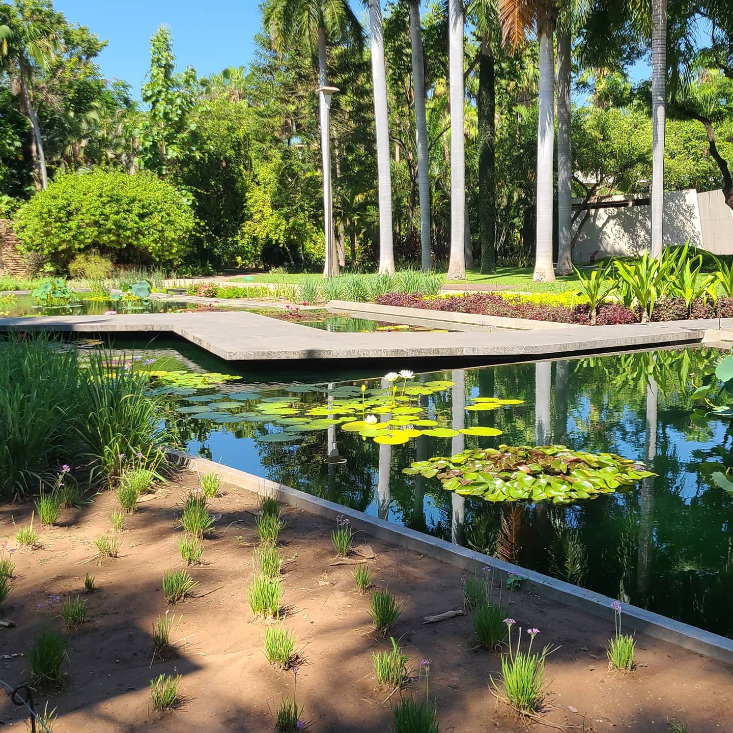 Sinaloa Botanical Gardens 2